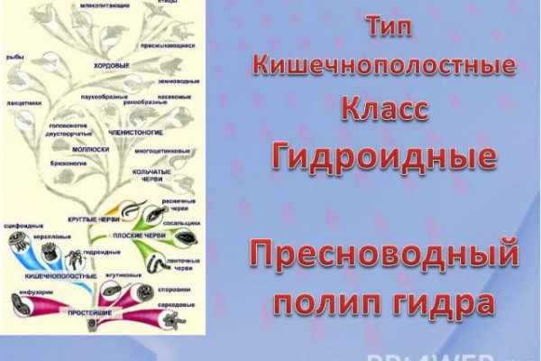 Кракен даркнет плейс